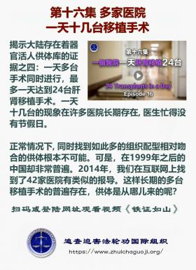 铁证如山 第16集1