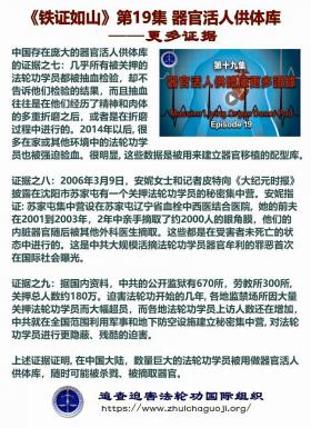 铁证如山 第19集1