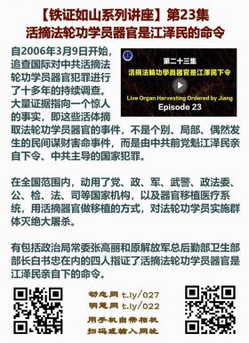 铁证如山 第23集2